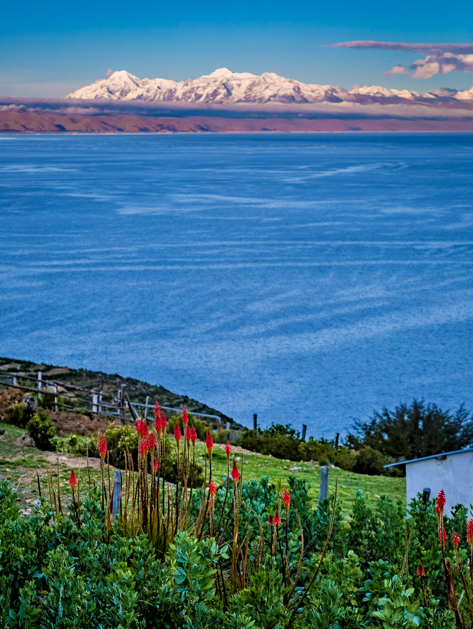 Cordillera Real & Lake Titicaca from EcoLodge, Isla del Sol