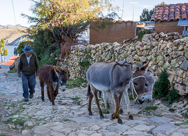 Transportation in Yumani, Isla del Sol