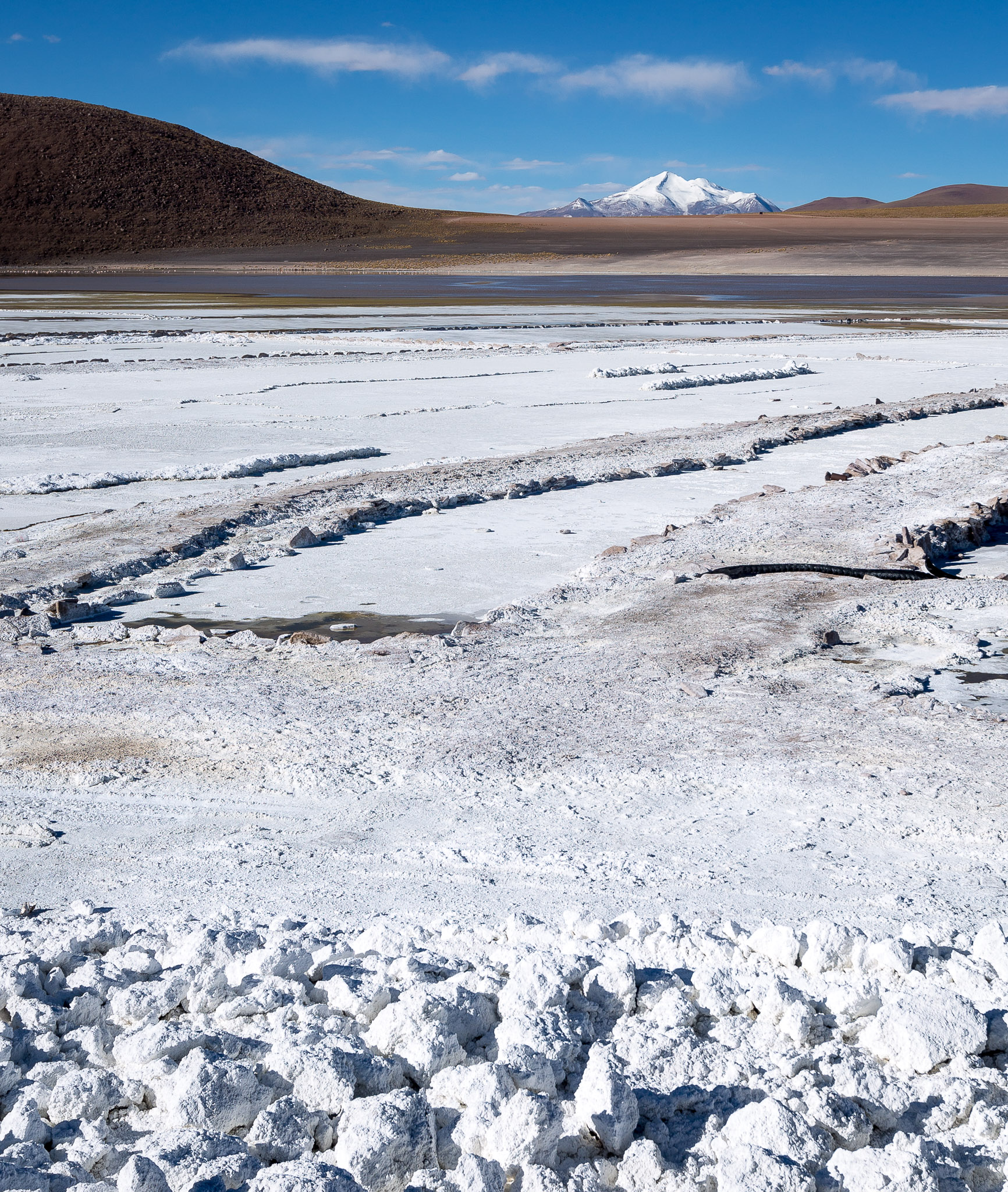 Borax at Laguna Kollpa