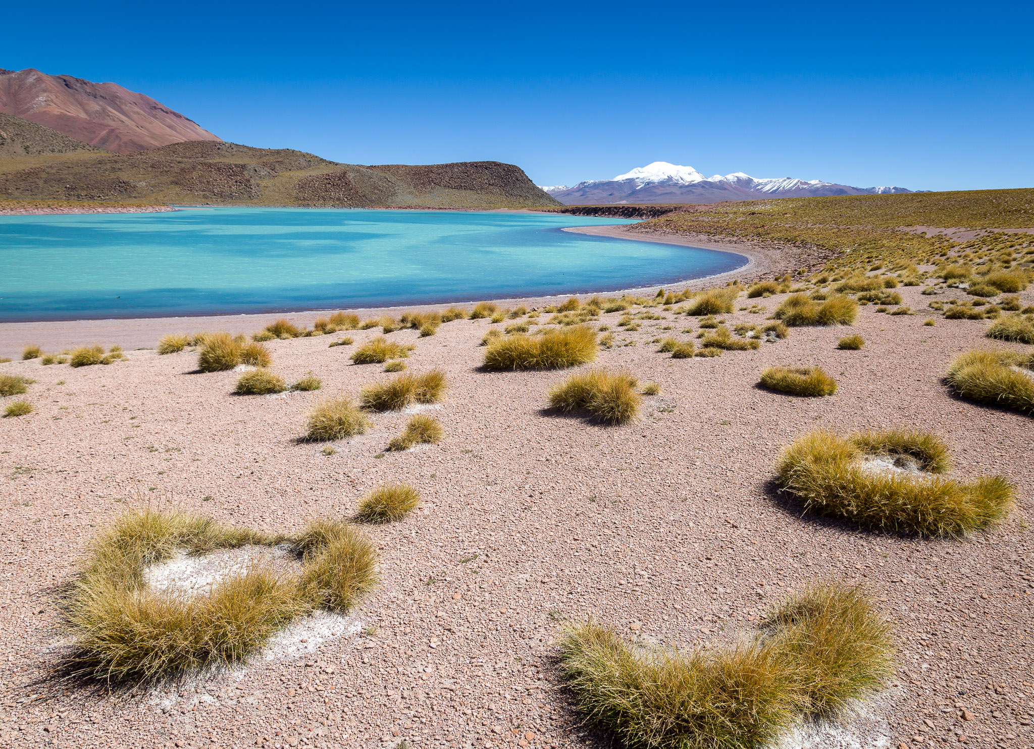 Laguna Celeste