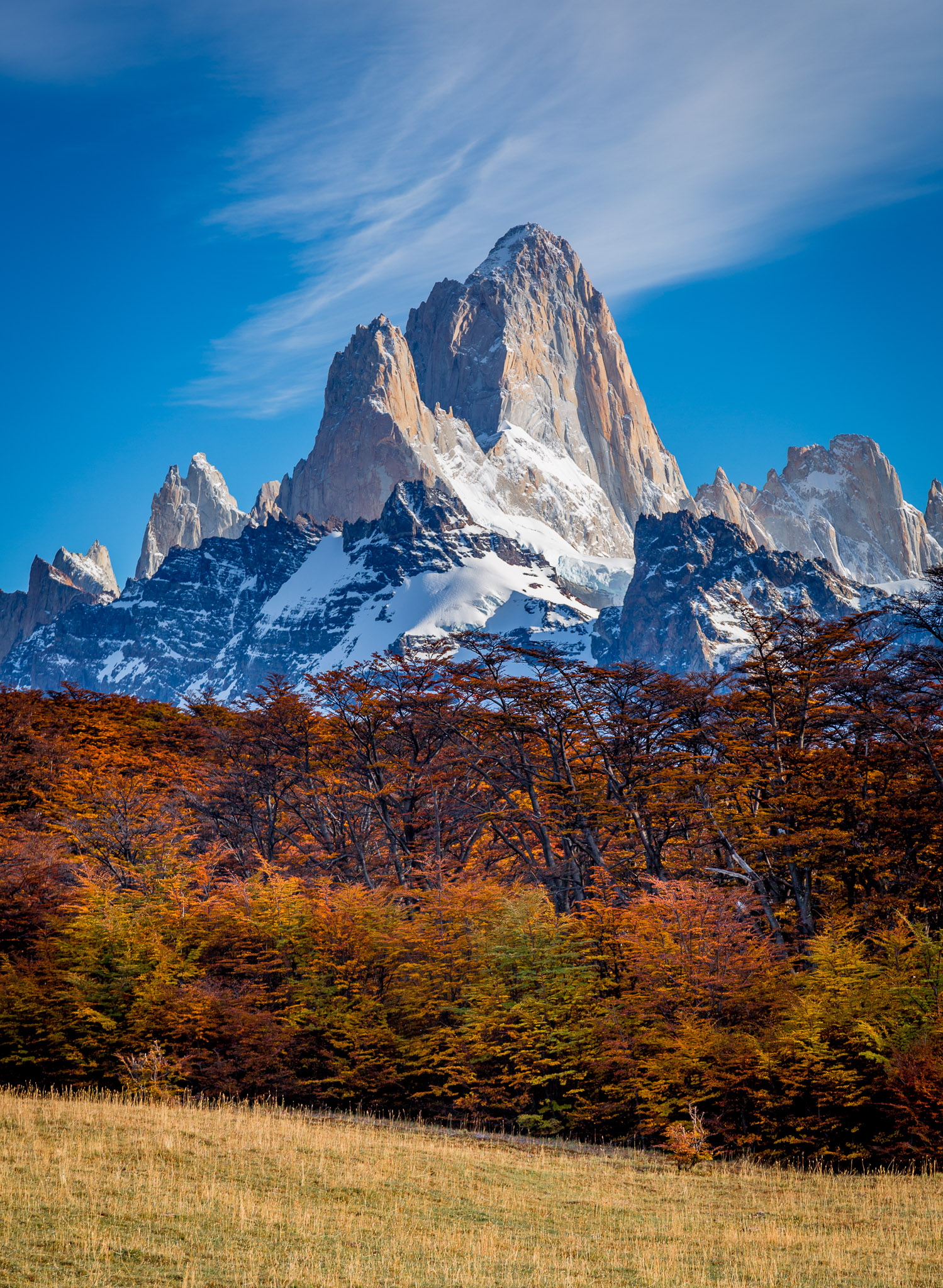 Fitz Roy from Loma del Pliegue meadow