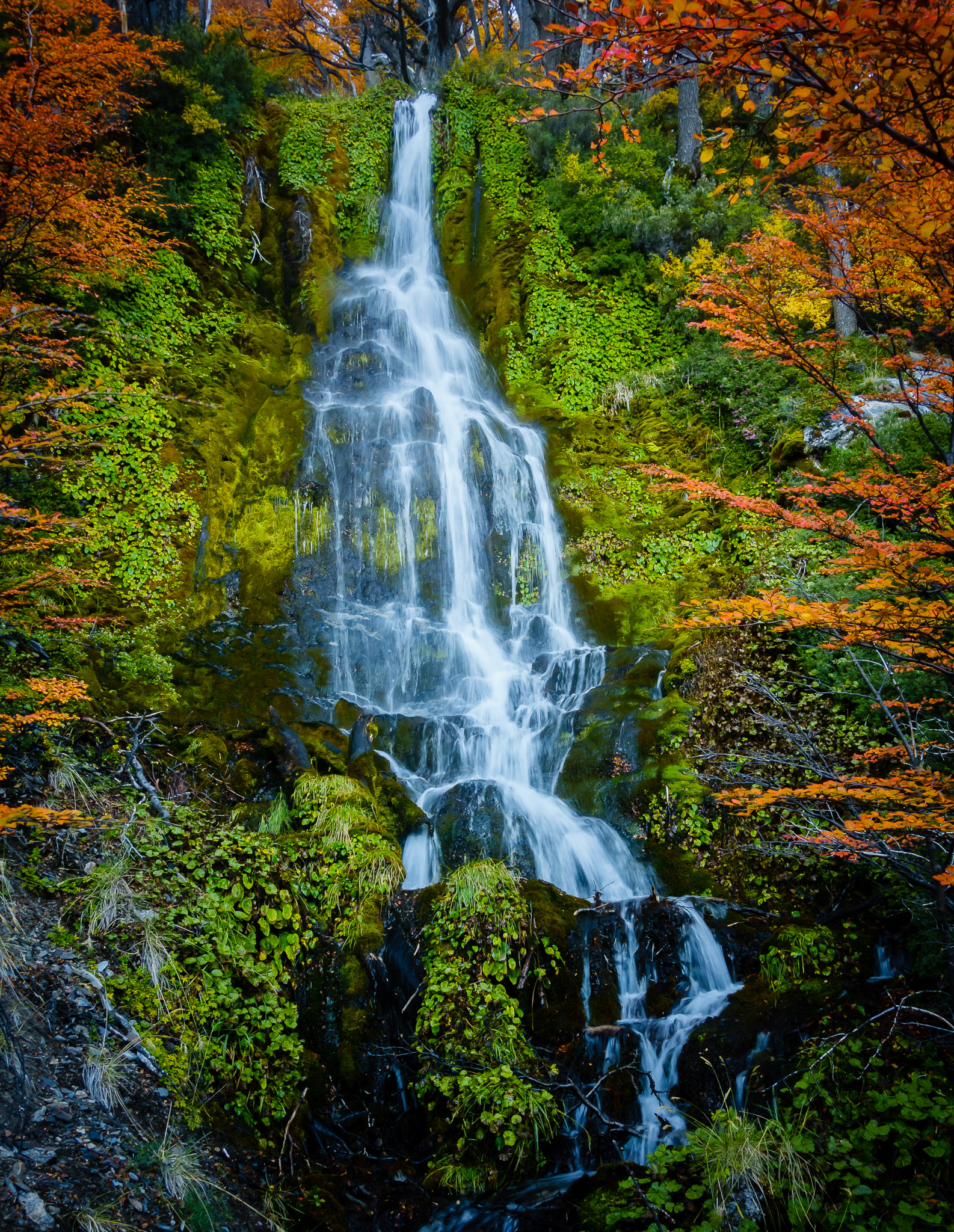 Waterfall near Lago Sucia
