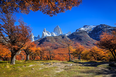 Fitz Roy from Campo Poincenot