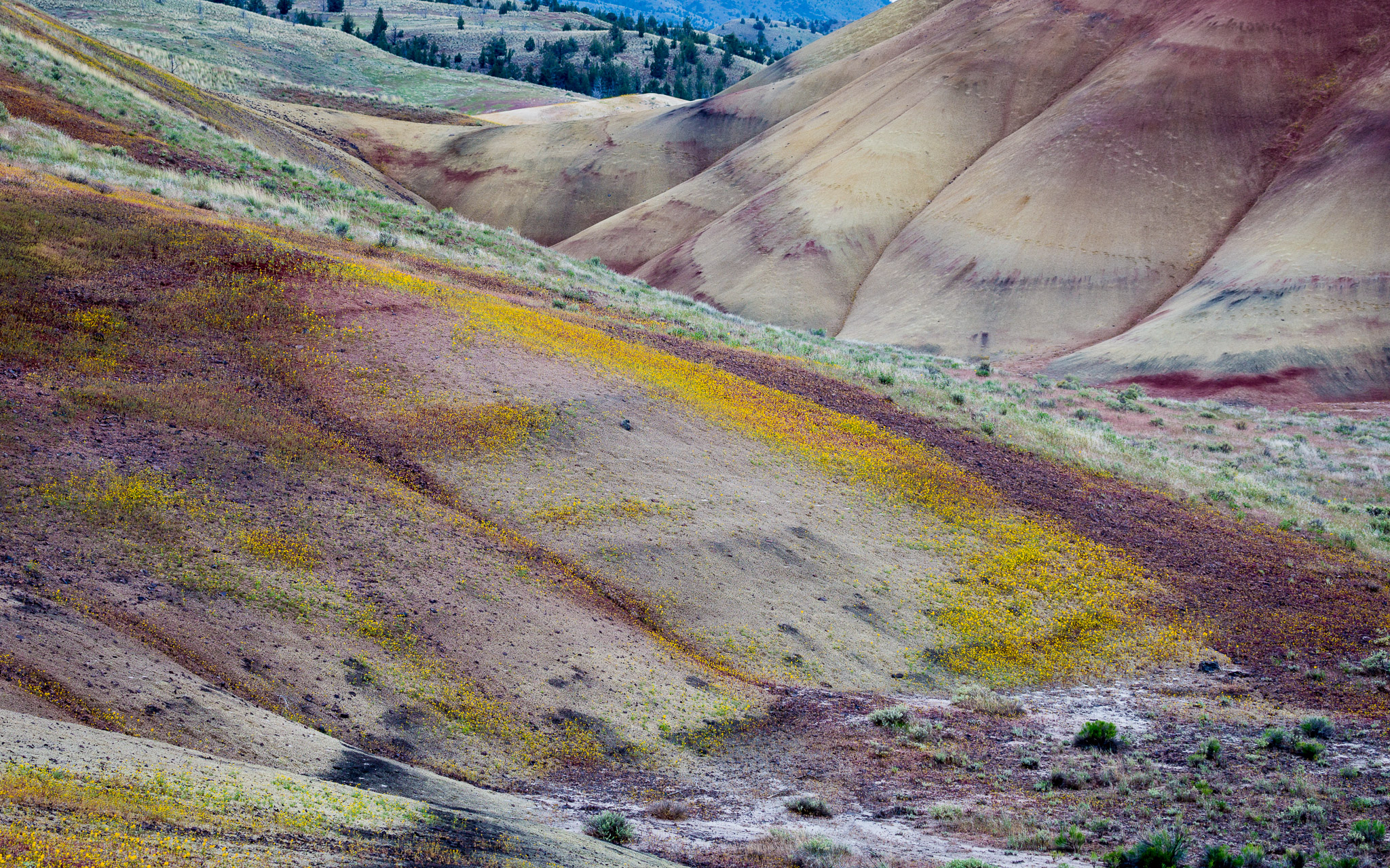 Oregon's Painted Hills