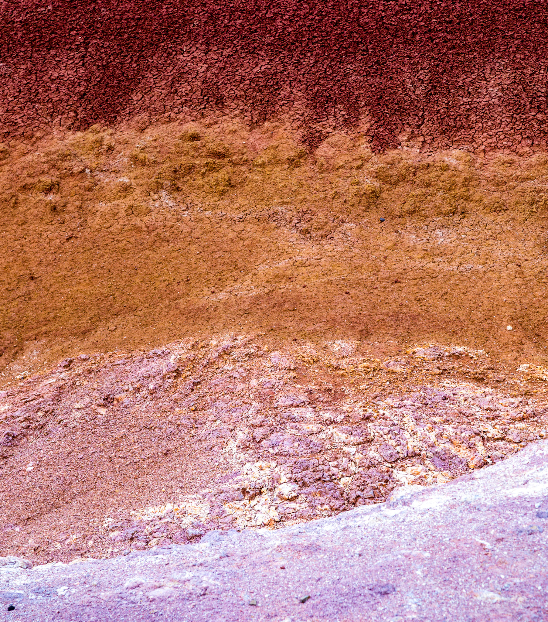 Colored Strata at Oregon's Painted Hills