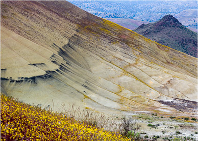 Oregon's Painted Hills