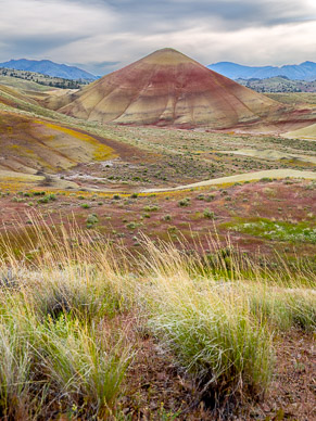 Oregon's Painted Hills