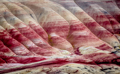Oregon's Painted Hills