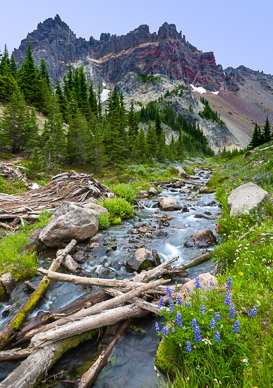 Upper Canyon Creek Meadows