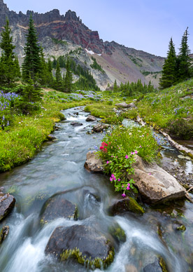 Upper Canyon Creek Meadows