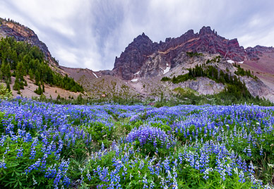 Upper Canyon Creek Meadows & Three Fingered Jack
