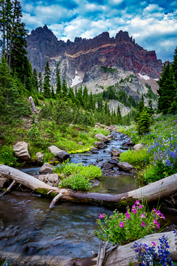 Canyon Creek & Three Fingered Jack