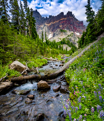 Canyon Creek & Three Fingered Jack
