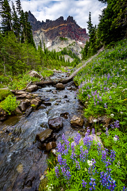Canyon Creek & Three Fingered Jack