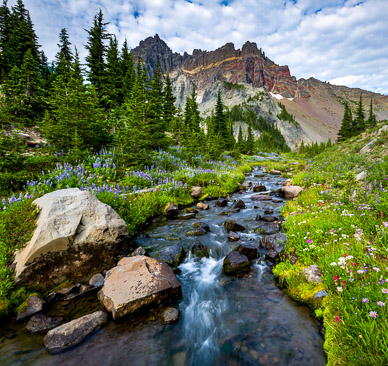 Canyon Creek & Three Fingered Jack