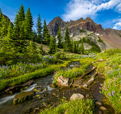 Canyon Creek & Three Fingered Jack