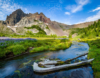 Upper Canyon Creek Meadows & Three Fingered Jack