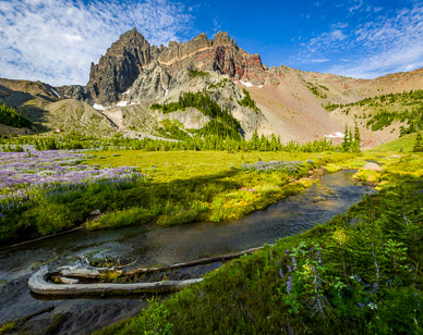 Upper Canyon Creek Meadows & Three Fingered Jack
