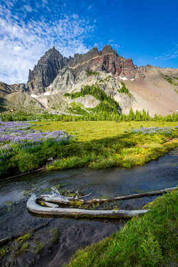 Upper Canyon Creek Meadows & Three Fingered Jack