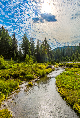 Upper Canyon Creek