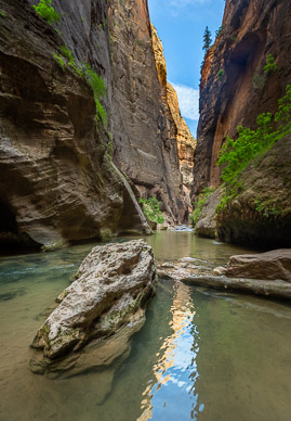 Zion's Virgin River Narrows