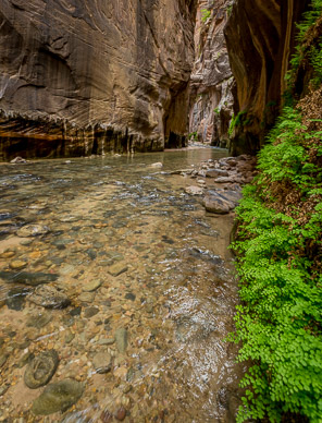 Zion's Virgin River Narrows