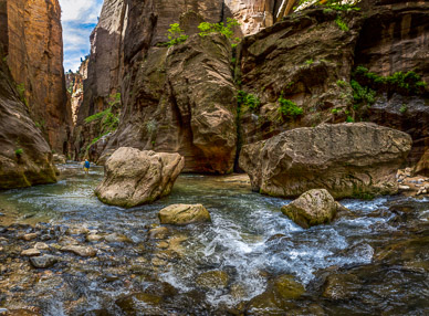 Zion's Virgin River Narrows