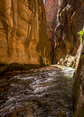 Zion's Virgin River Narrows