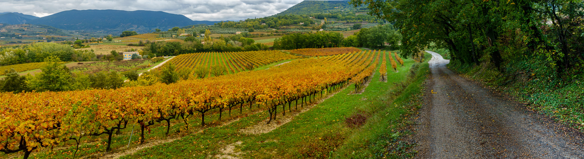 Autumn colors in Mirabel