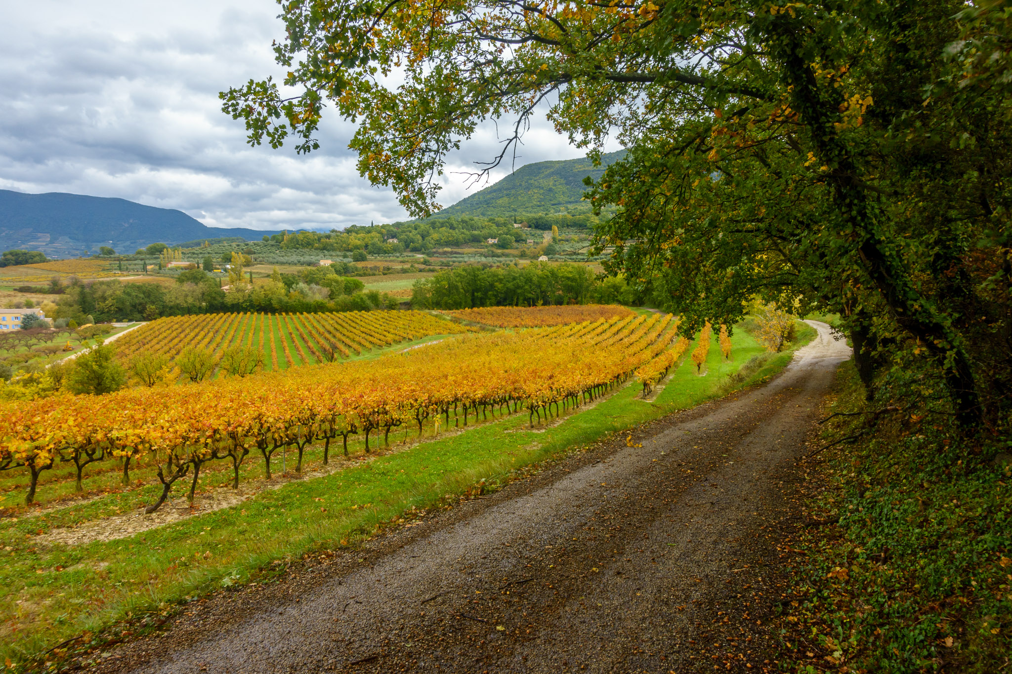 Autumn colors in Mirabel