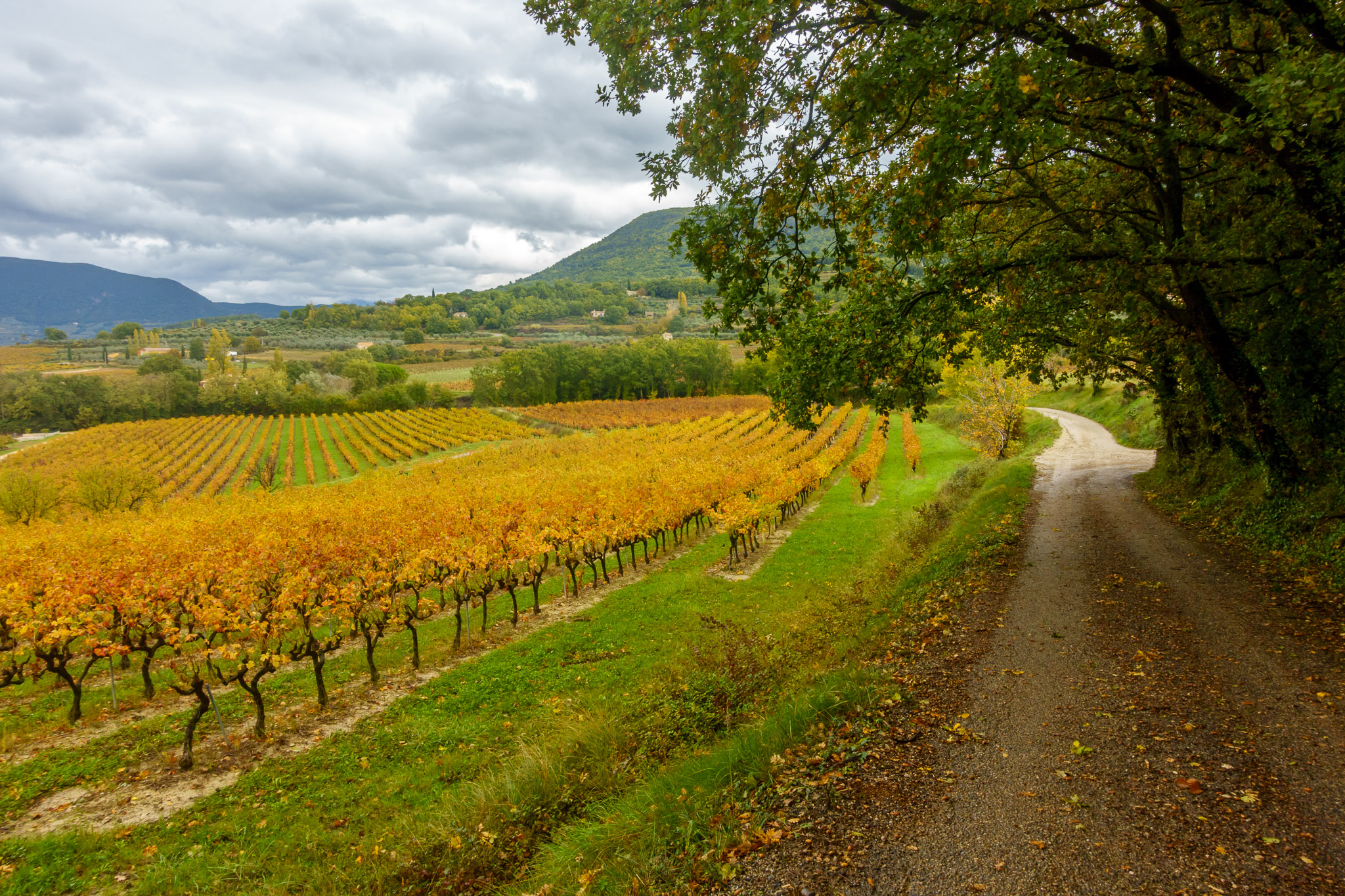 Autumn colors in Mirabel