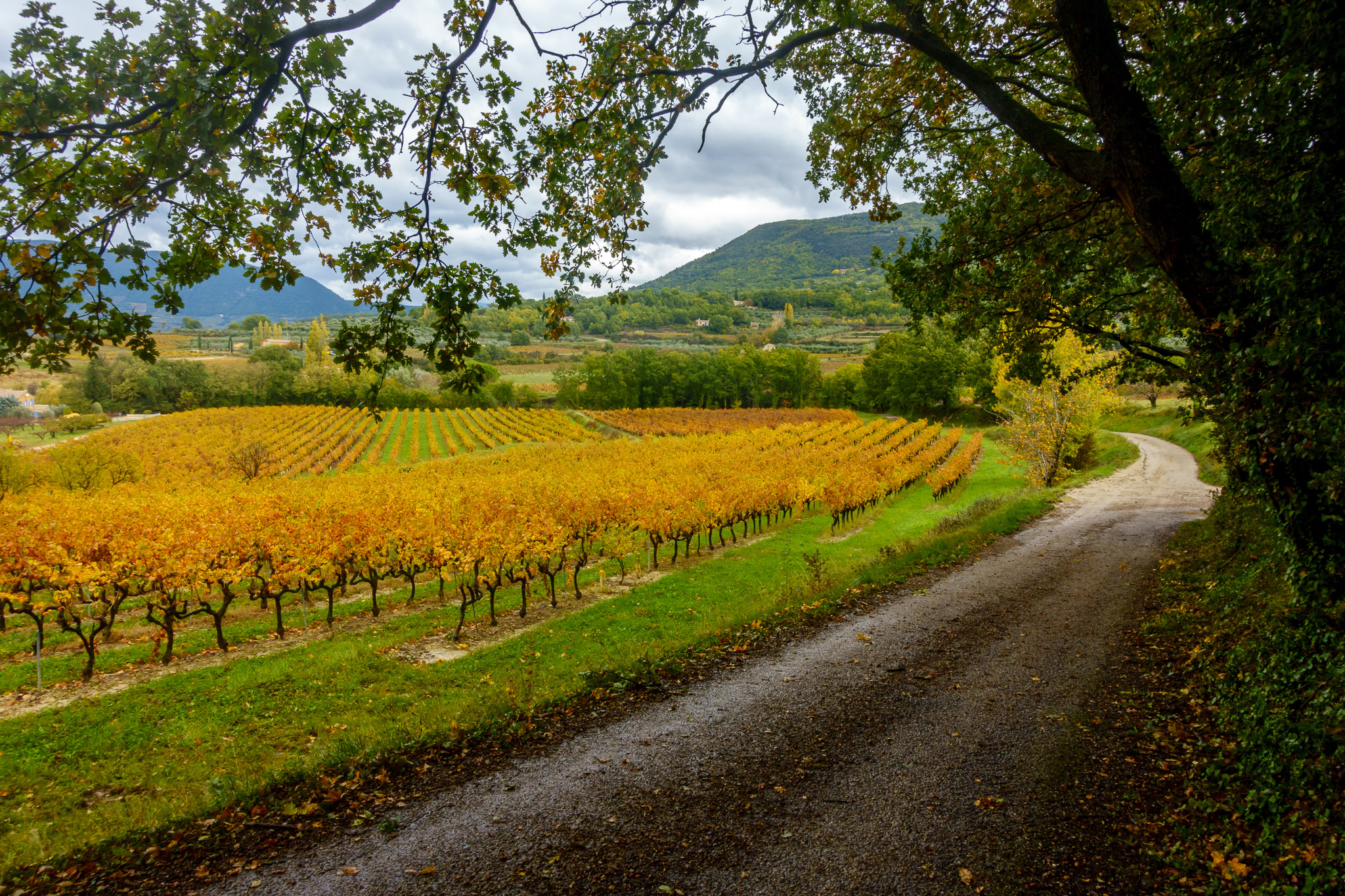 Autumn colors in Mirabel