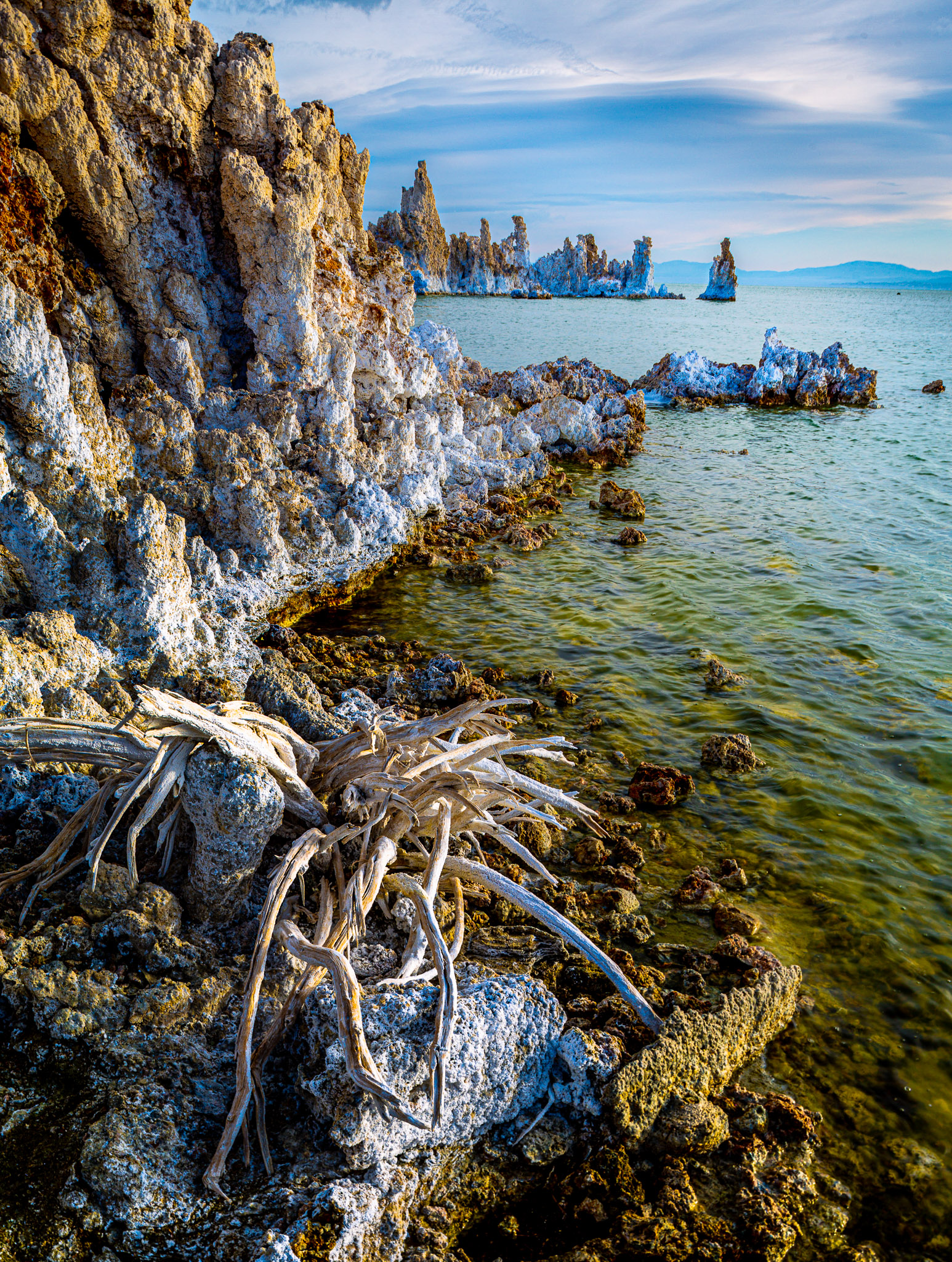 Mono Lake Shoreline