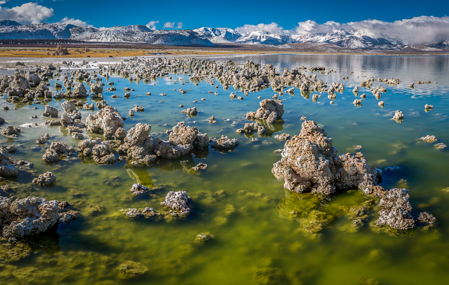 Mono Lake Tufa & Sierras