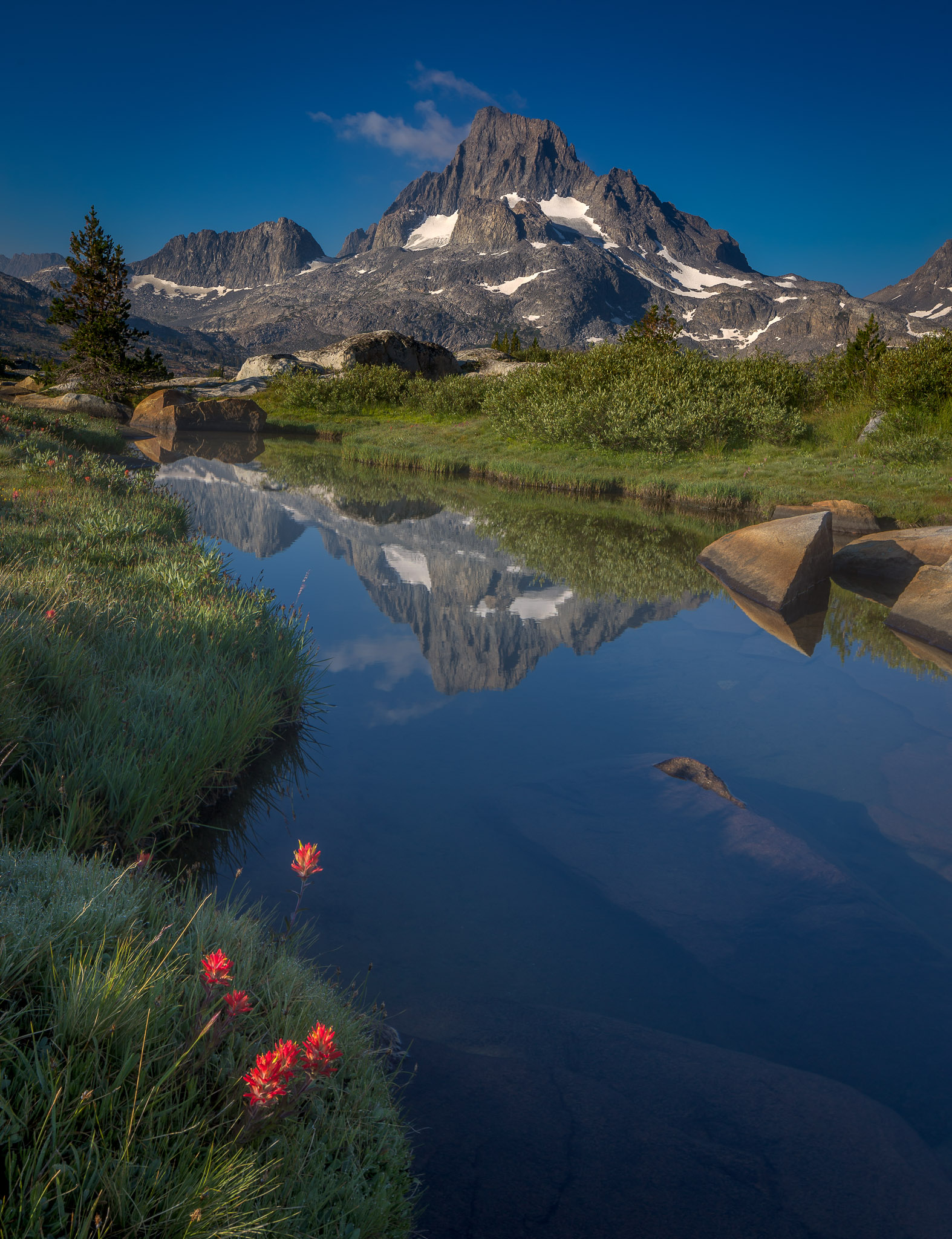 Wildflowers & Banner Peak from Thousand Island Lake (24mm tilt-shift lens)