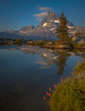 Wildflowers & Banner Peak from Thousand Island Lake (focus-blended)