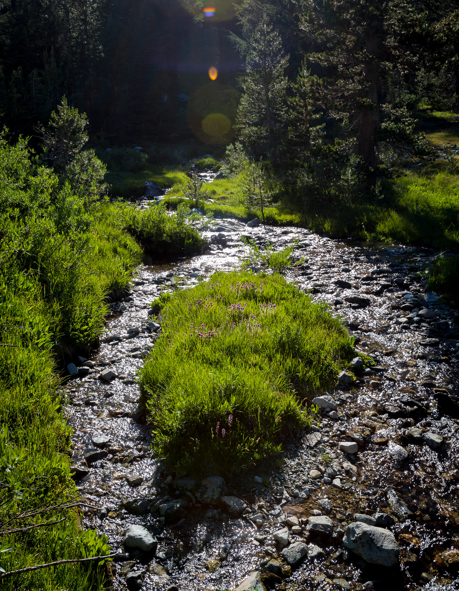 Lake Ediza inlet stream