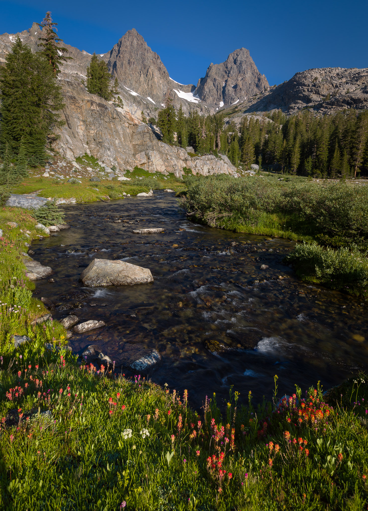 Stream above Lake Ediza, below Banner Peak & Mt. Ritter