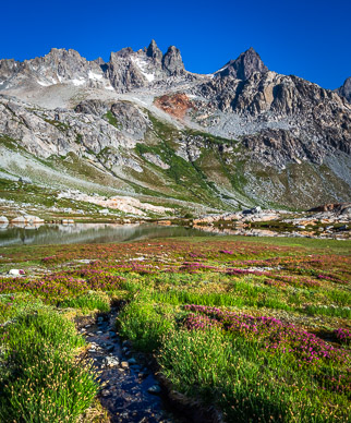 Heather & stream flowing into Minarets tarn