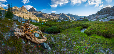 Early morning light on Banner Peak & Mt. Ritter from Iceberg Lake meadow