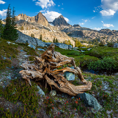 Morning light on Banner Peak & Mt. Ritter from Iceberg Lake meadow