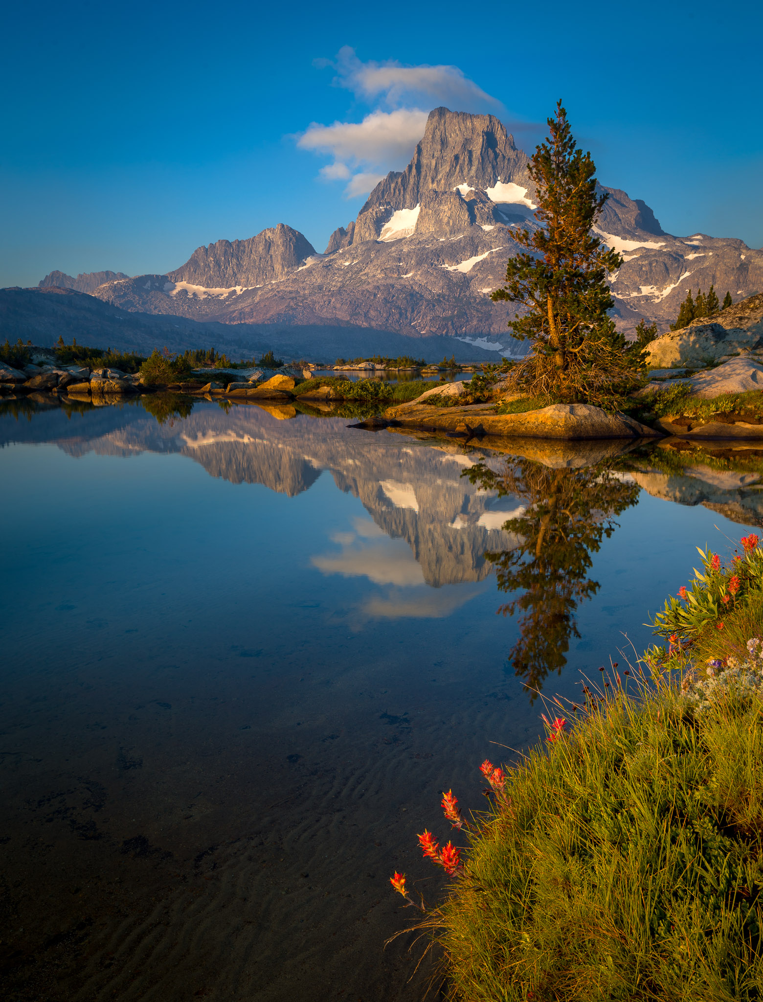 Wildflowers & Banner Peak from Thousand Island Lake (focus-blended)