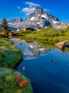 Wildflowers & Banner Peak from Thousand Island Lake (focus-blended)