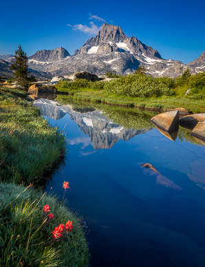 Wildflowers & Banner Peak from Thousand Island Lake (24mm tilt-shift lens)