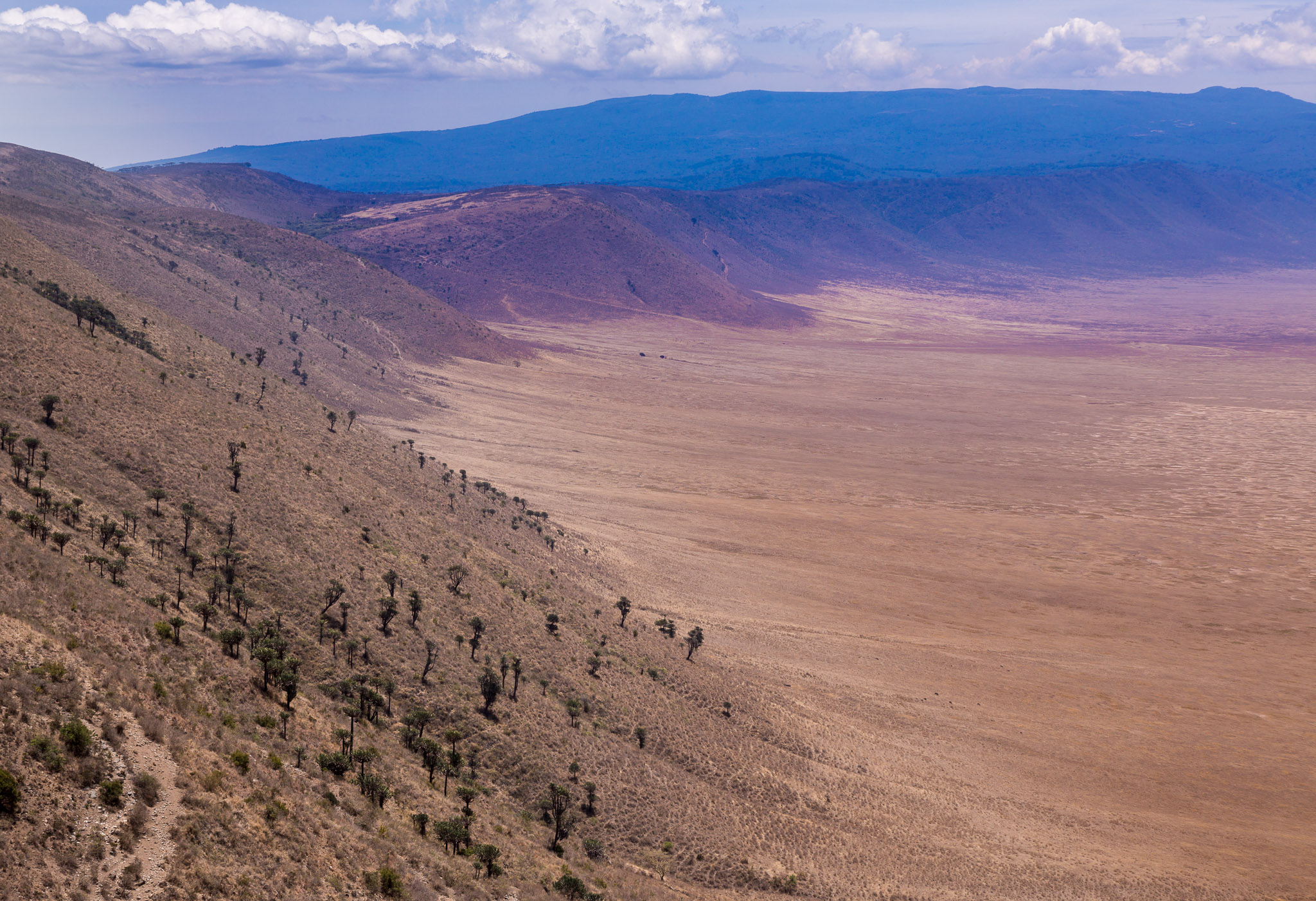 Ngorongoro  Crater's wall