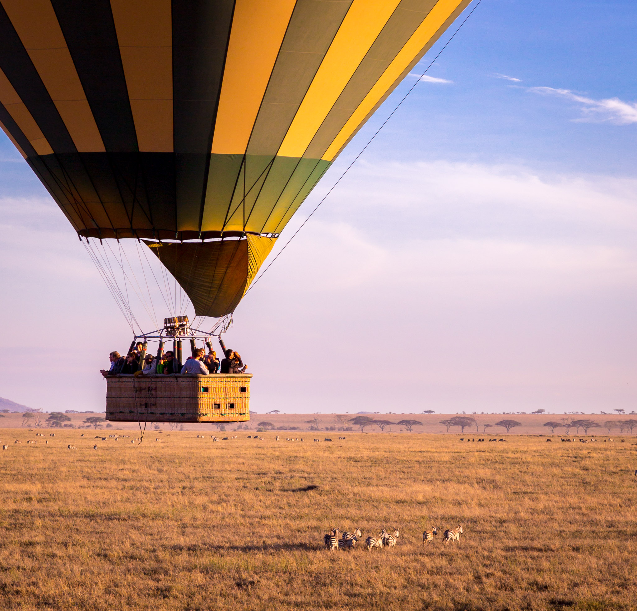 Hot Air Balloon over Serengeti