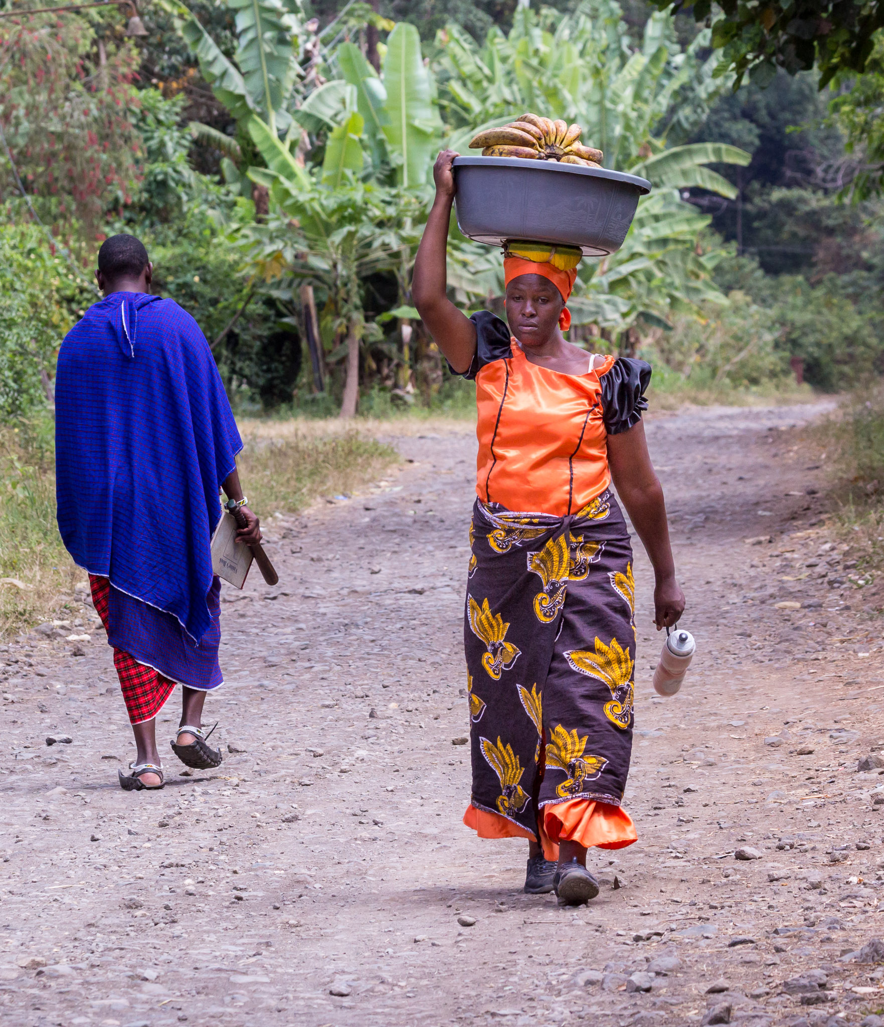 On our way to the Meru Rain Forest Preserve