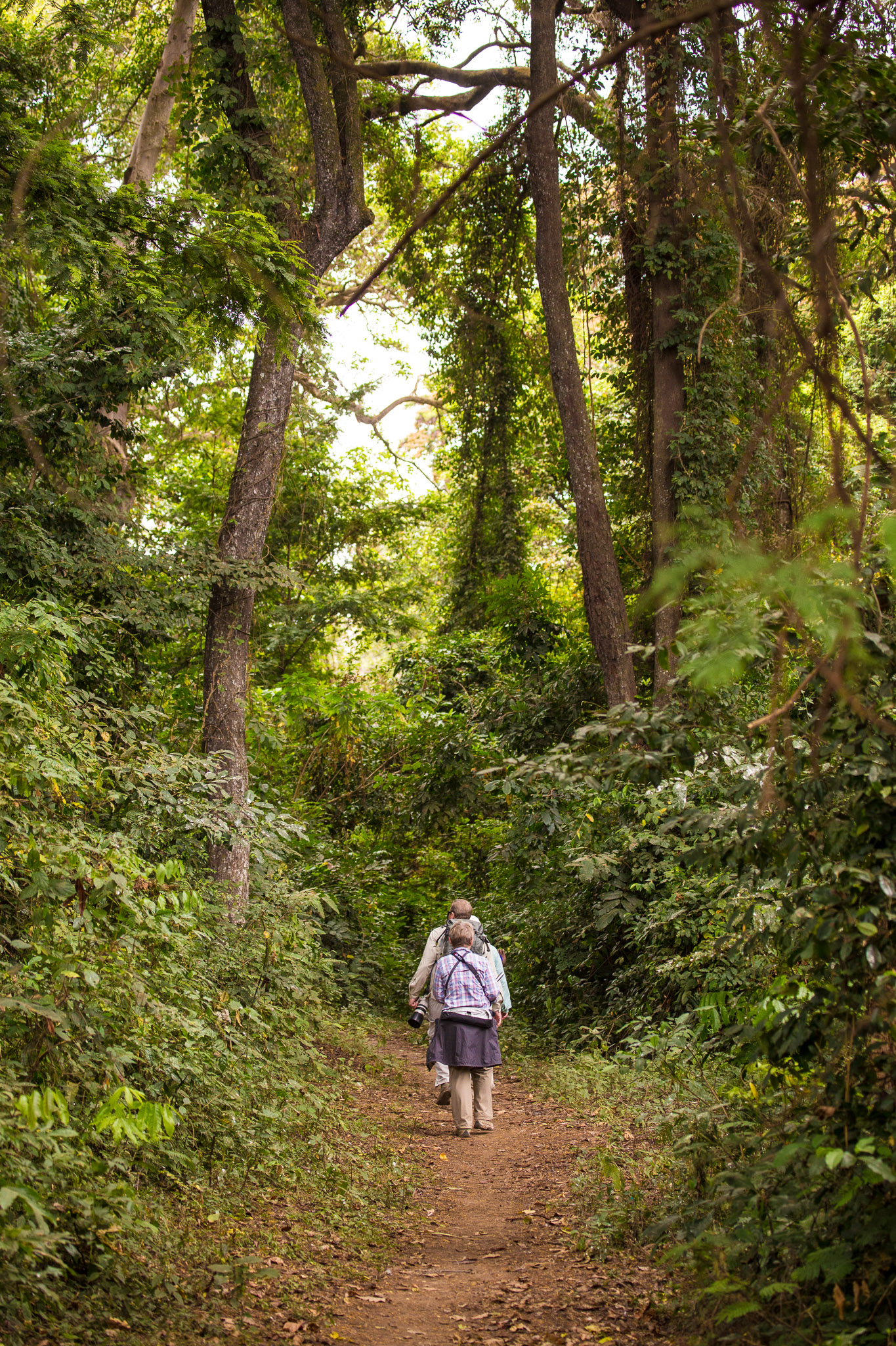 On our way to the Meru Rain Forest Preserve