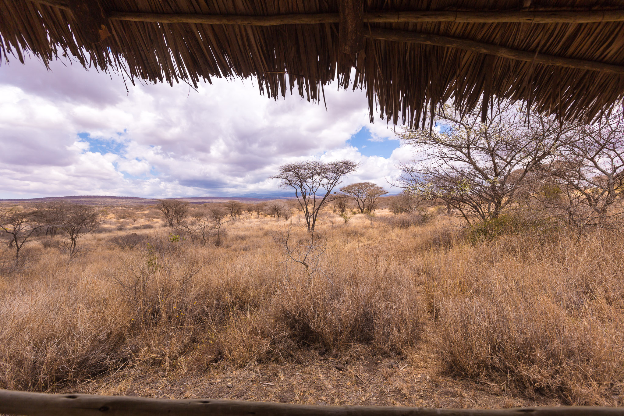 View from our tent at Kambi ya Tembo Camp