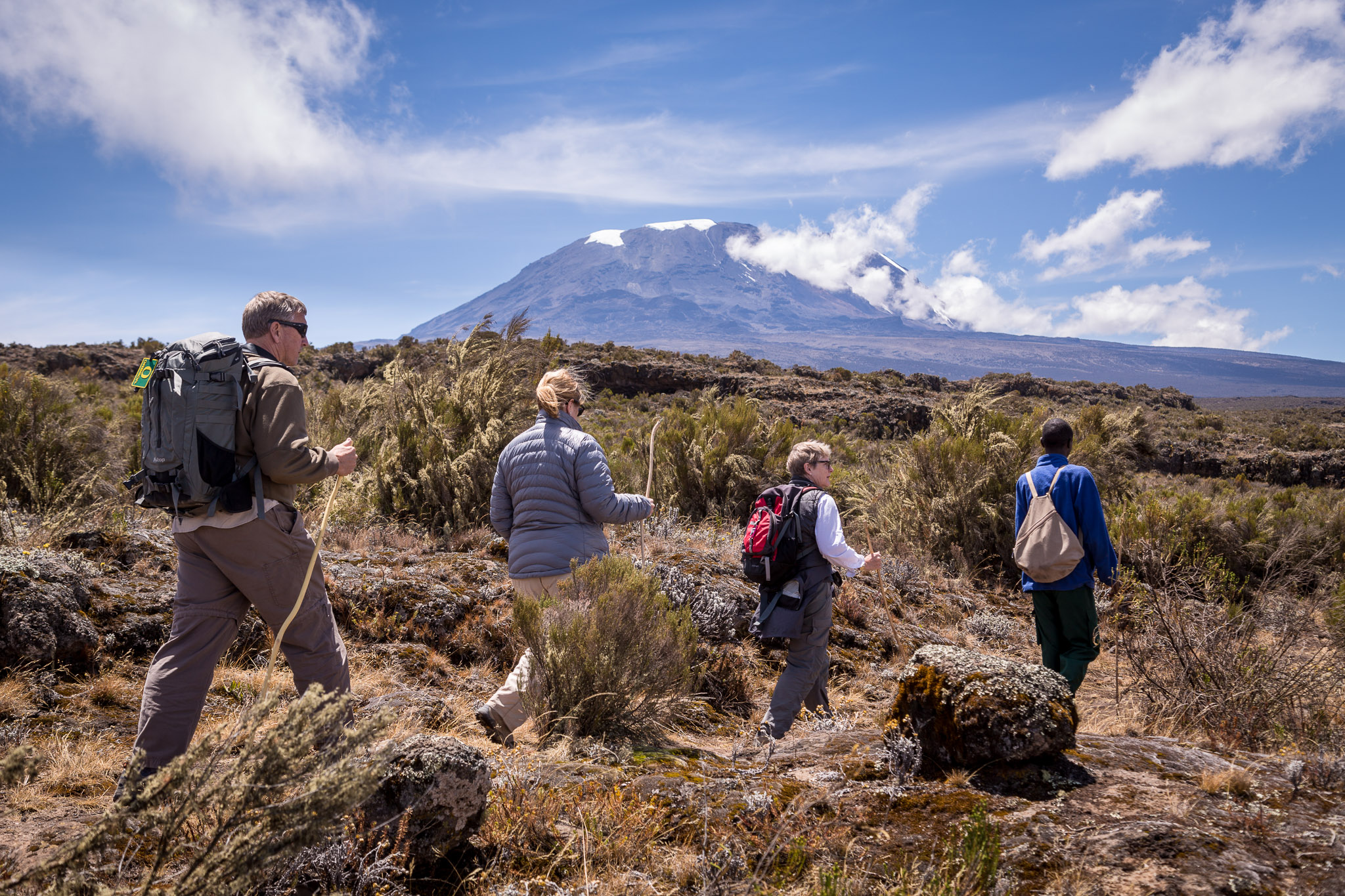 Hiking on the Shira Plateau (11,000') beneath Mt. Kilimanjaro